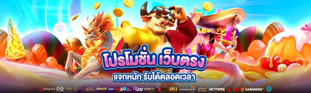 squid888 ทางเข้า