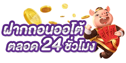 squid888 ระบบออโต้
